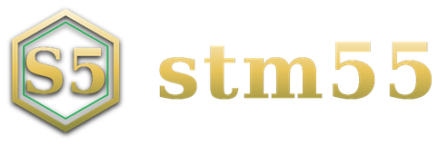 stm55 logo